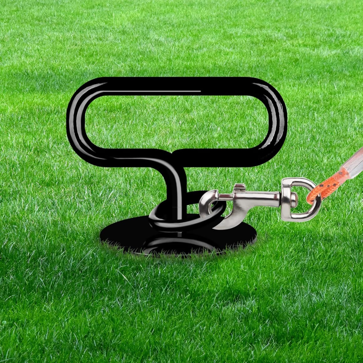 anchor