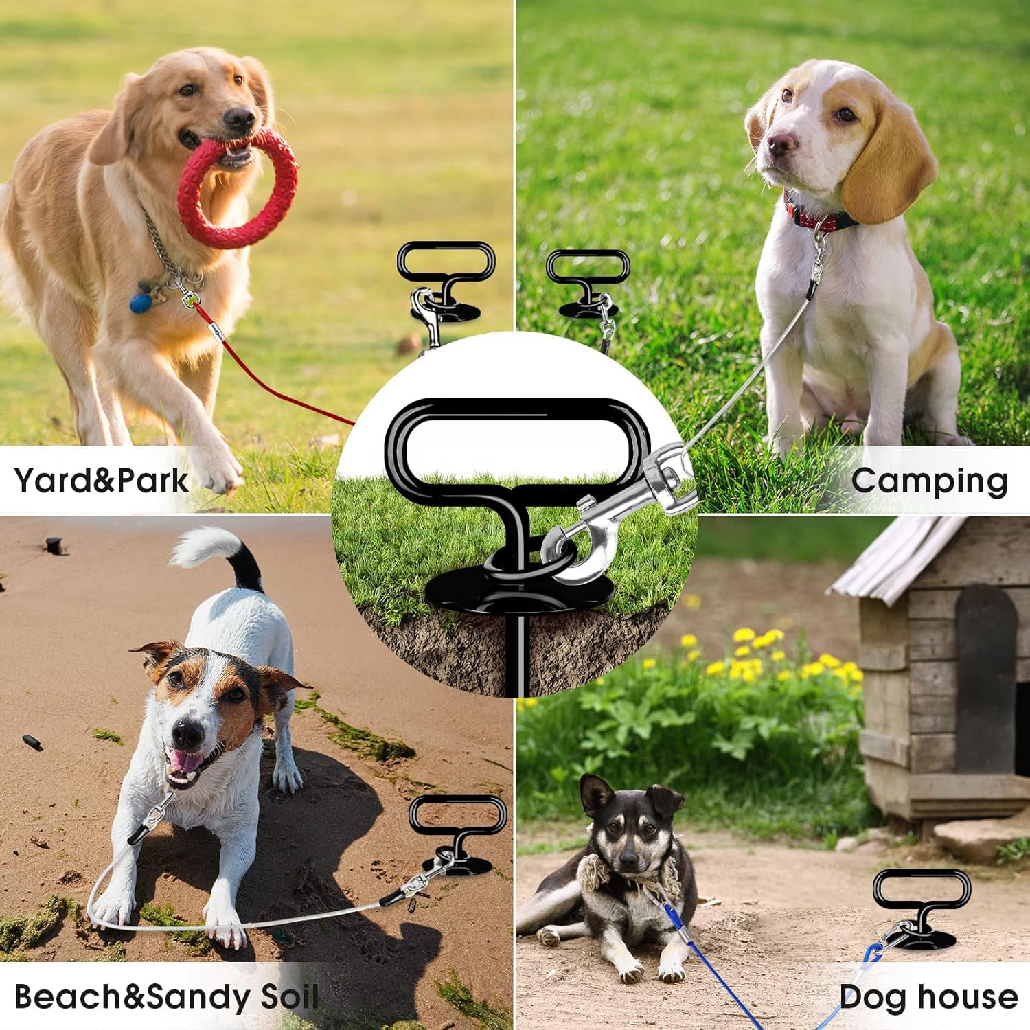 dogs